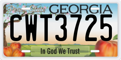 GA license plate CWT3725