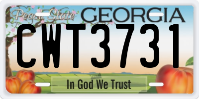 GA license plate CWT3731