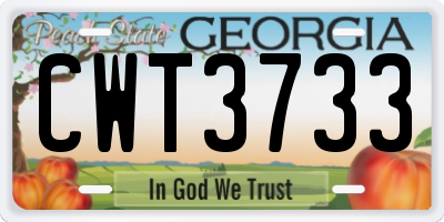 GA license plate CWT3733