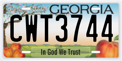 GA license plate CWT3744