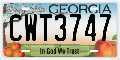 GA license plate CWT3747