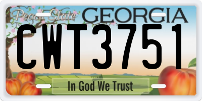 GA license plate CWT3751