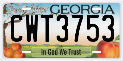 GA license plate CWT3753