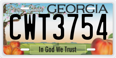 GA license plate CWT3754