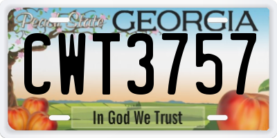 GA license plate CWT3757