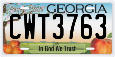 GA license plate CWT3763