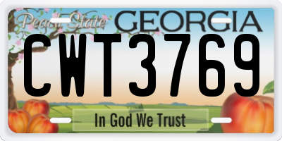 GA license plate CWT3769