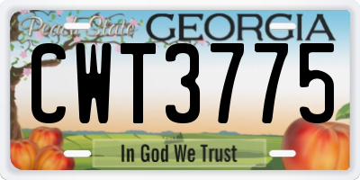 GA license plate CWT3775