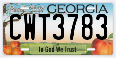 GA license plate CWT3783