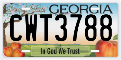 GA license plate CWT3788