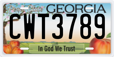 GA license plate CWT3789