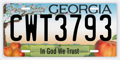 GA license plate CWT3793