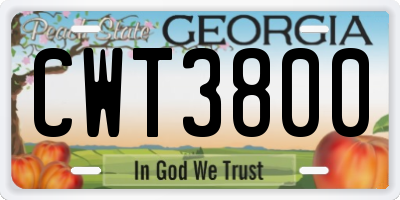 GA license plate CWT3800