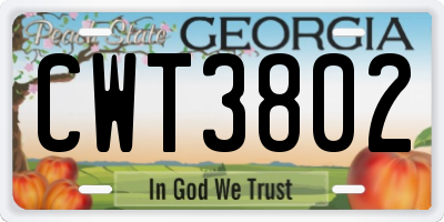 GA license plate CWT3802