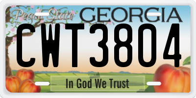 GA license plate CWT3804