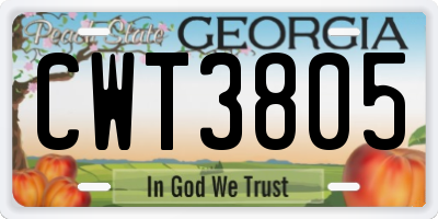 GA license plate CWT3805