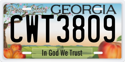 GA license plate CWT3809