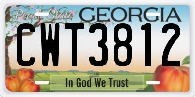 GA license plate CWT3812