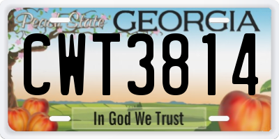 GA license plate CWT3814