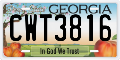 GA license plate CWT3816
