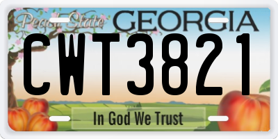 GA license plate CWT3821