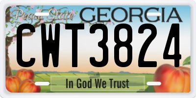 GA license plate CWT3824