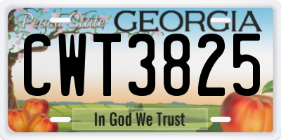 GA license plate CWT3825