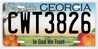 GA license plate CWT3826