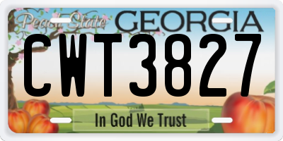 GA license plate CWT3827