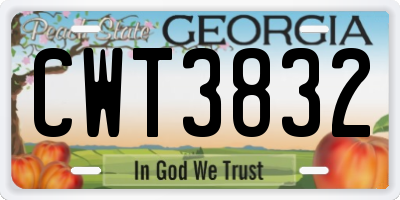 GA license plate CWT3832