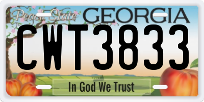 GA license plate CWT3833