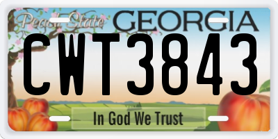 GA license plate CWT3843