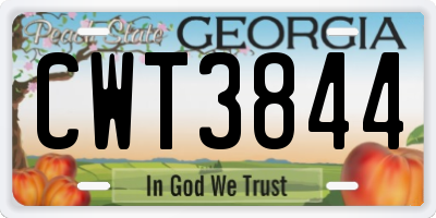 GA license plate CWT3844