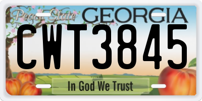 GA license plate CWT3845