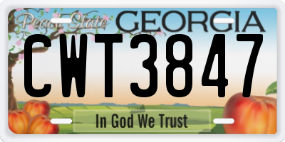 GA license plate CWT3847