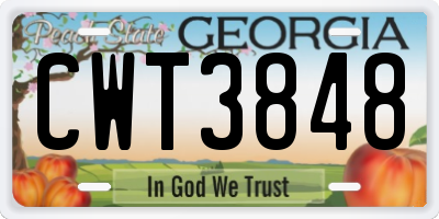 GA license plate CWT3848