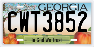 GA license plate CWT3852