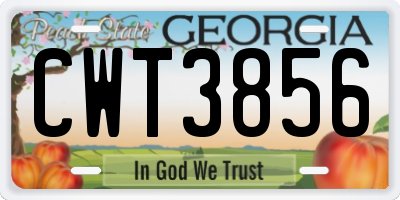 GA license plate CWT3856