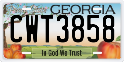 GA license plate CWT3858