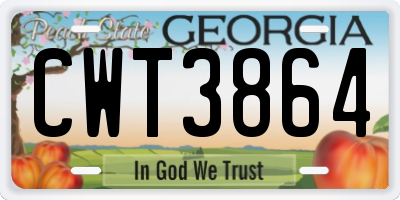 GA license plate CWT3864