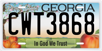 GA license plate CWT3868