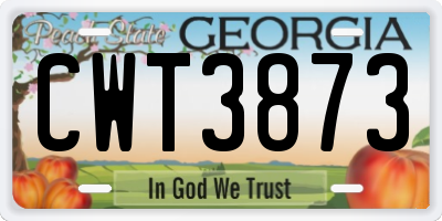 GA license plate CWT3873