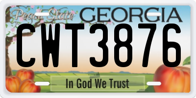 GA license plate CWT3876