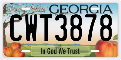 GA license plate CWT3878