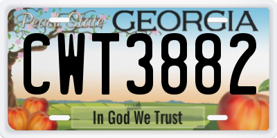 GA license plate CWT3882
