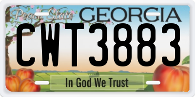 GA license plate CWT3883