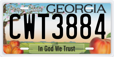 GA license plate CWT3884