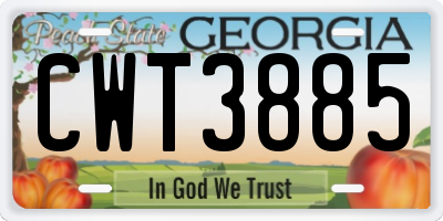 GA license plate CWT3885