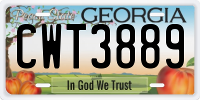 GA license plate CWT3889