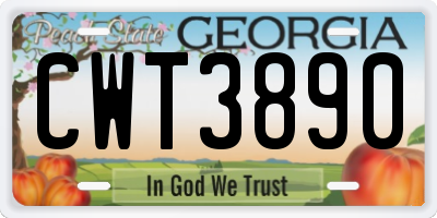 GA license plate CWT3890
